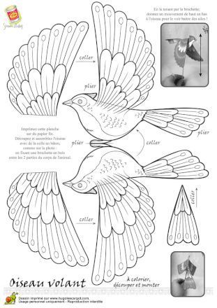 Download free d pen templates share your d pen arts paper birds bird template paper art