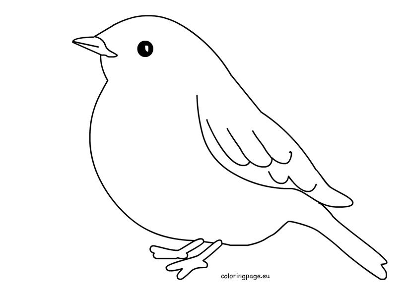 Pretty paper bird design coloring page bird template bird coloring pages bird outline