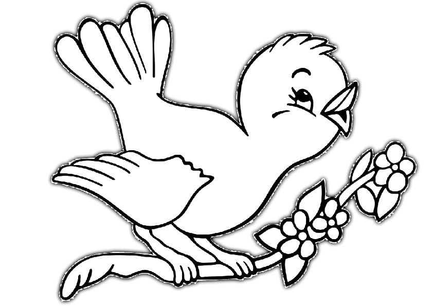 Printable bird coloring pages print and color pdf