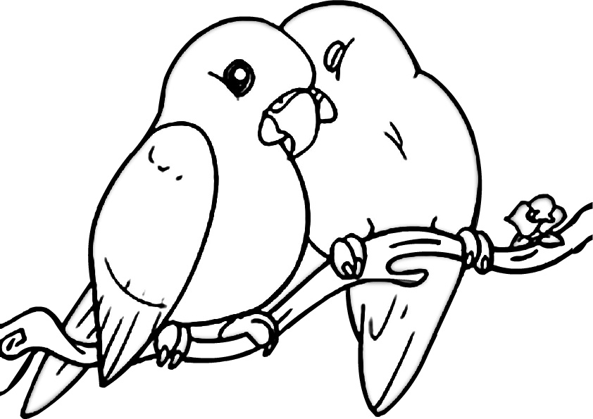 Printable bird coloring pages print and color pdf