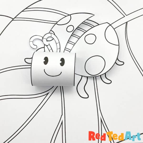 D coloring pages insects