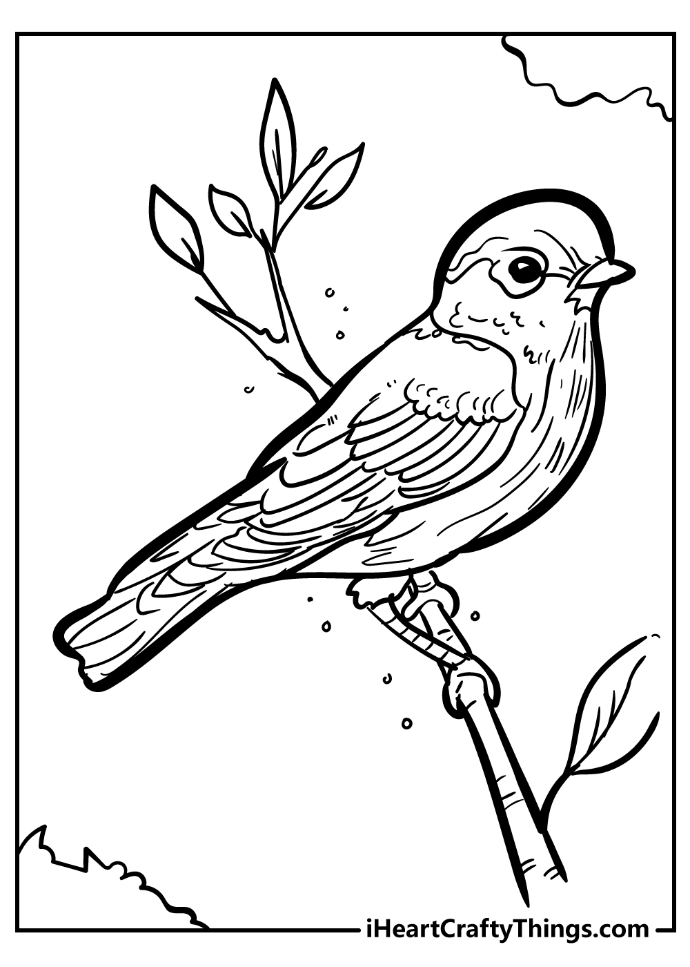 Bird coloring pages free printables