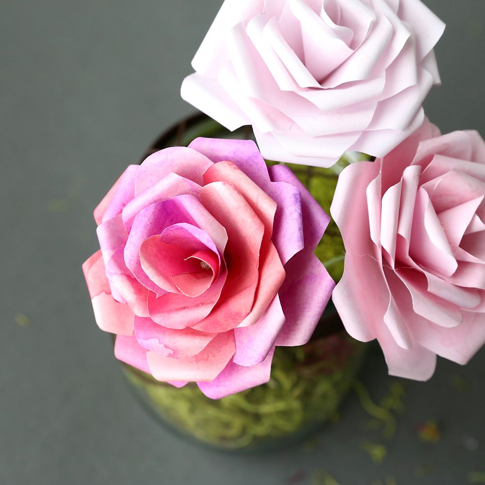 How to make gorgeous paper roses free template