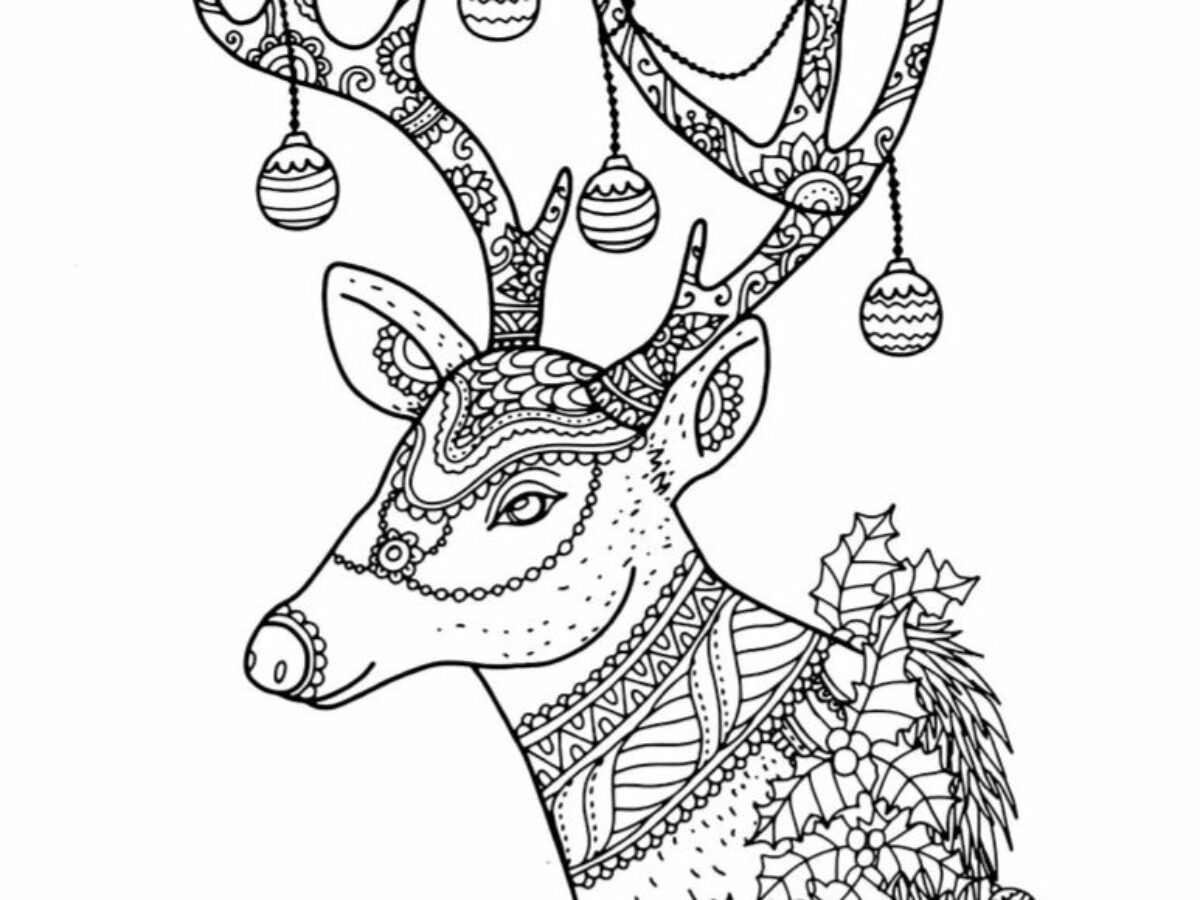 Printable reindeer coloring pages for kids add some color to that reindeer