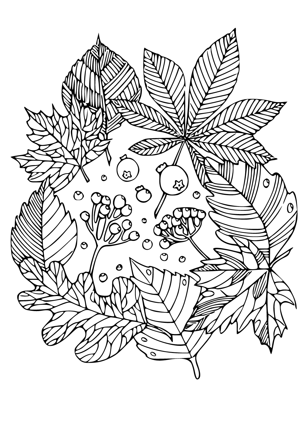 Free printable autumn fall berries coloring page for adults and kids