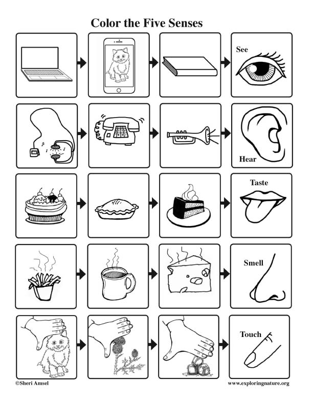 Senses five coloring page