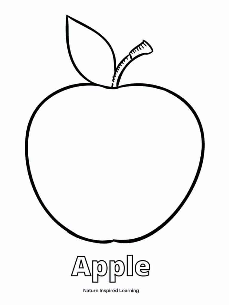 The best apple coloring pages for fall