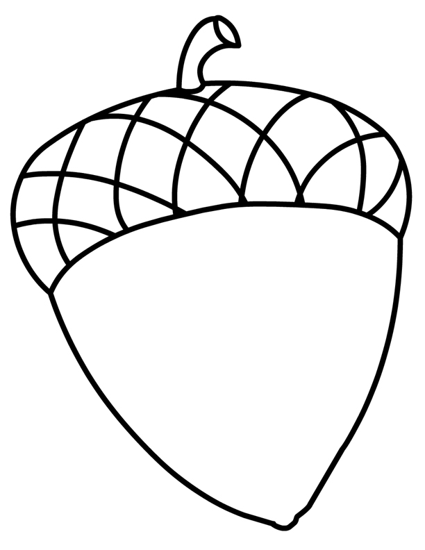 Acorn coloring pages