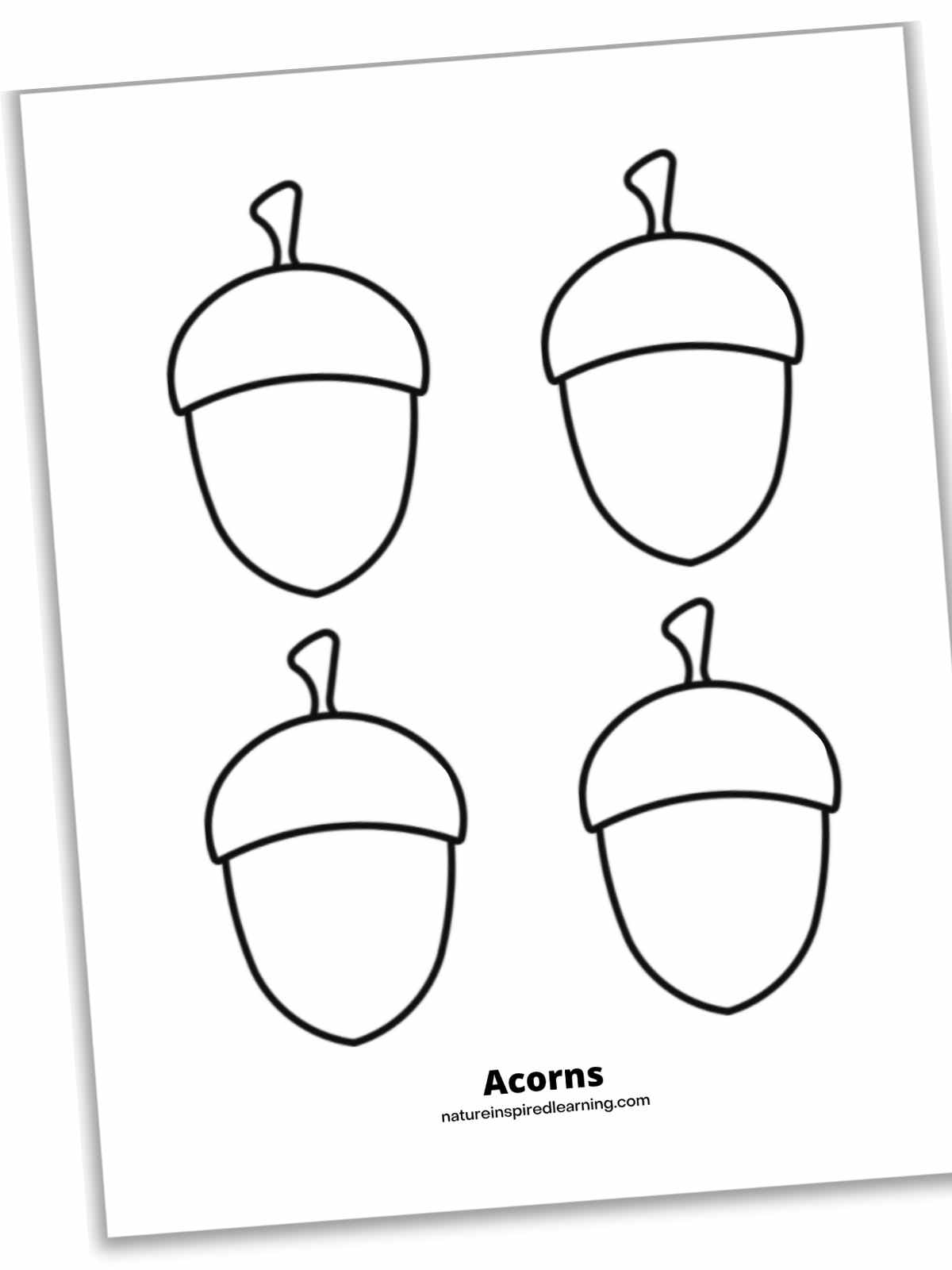 Acorn coloring pages perfect for autumn