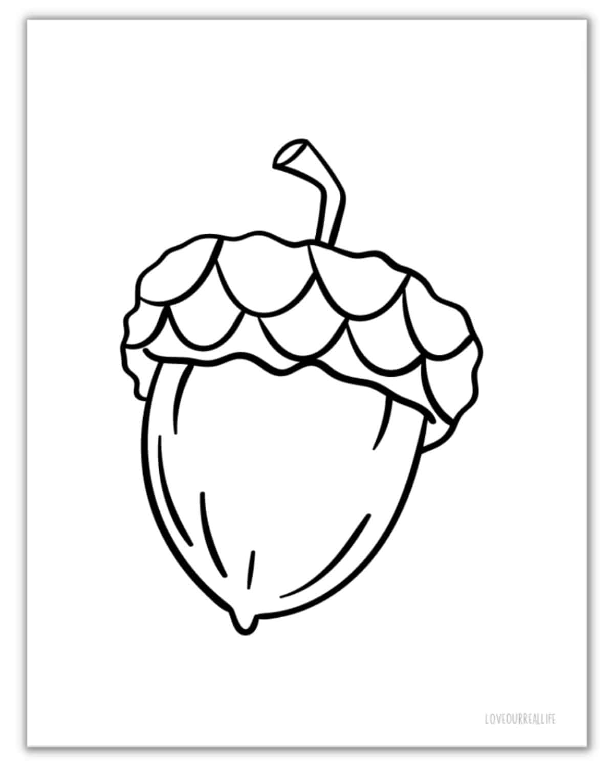 Free acorn template printables