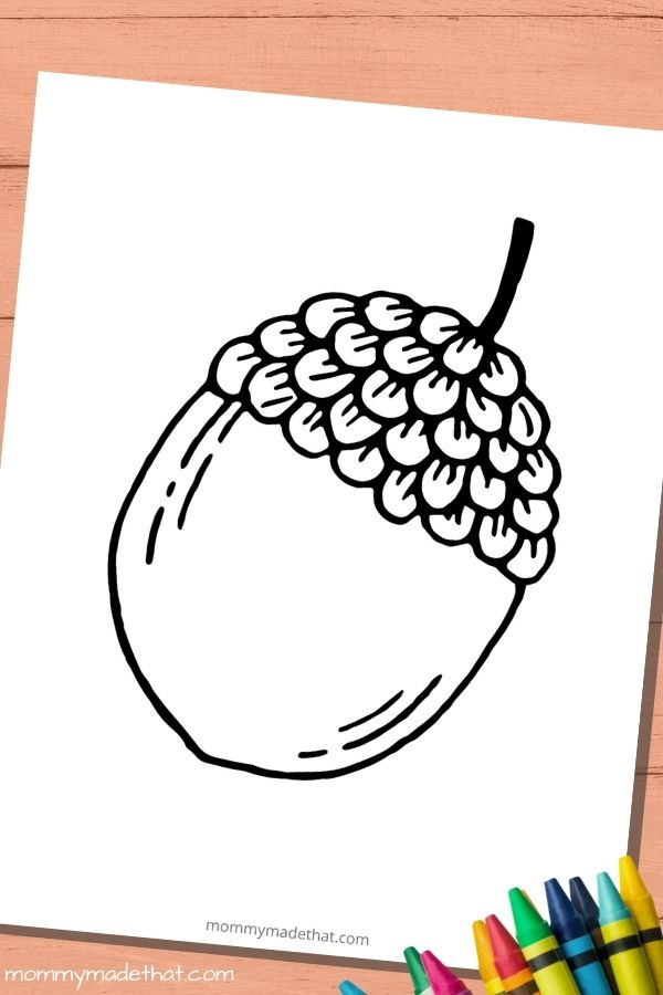 Free acorn template printables