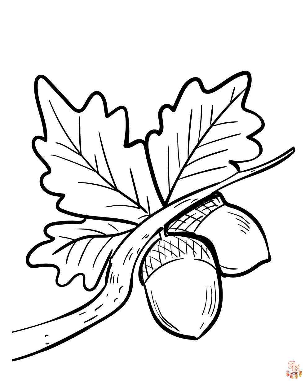 Discover fun and free acorn coloring pages for kids