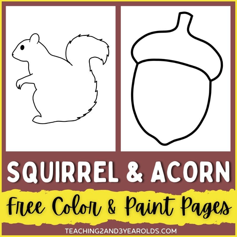 Squirrel and acorn printable color pages