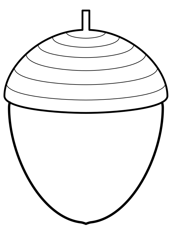 Acorn drawing for coloring page free printable nurieworld