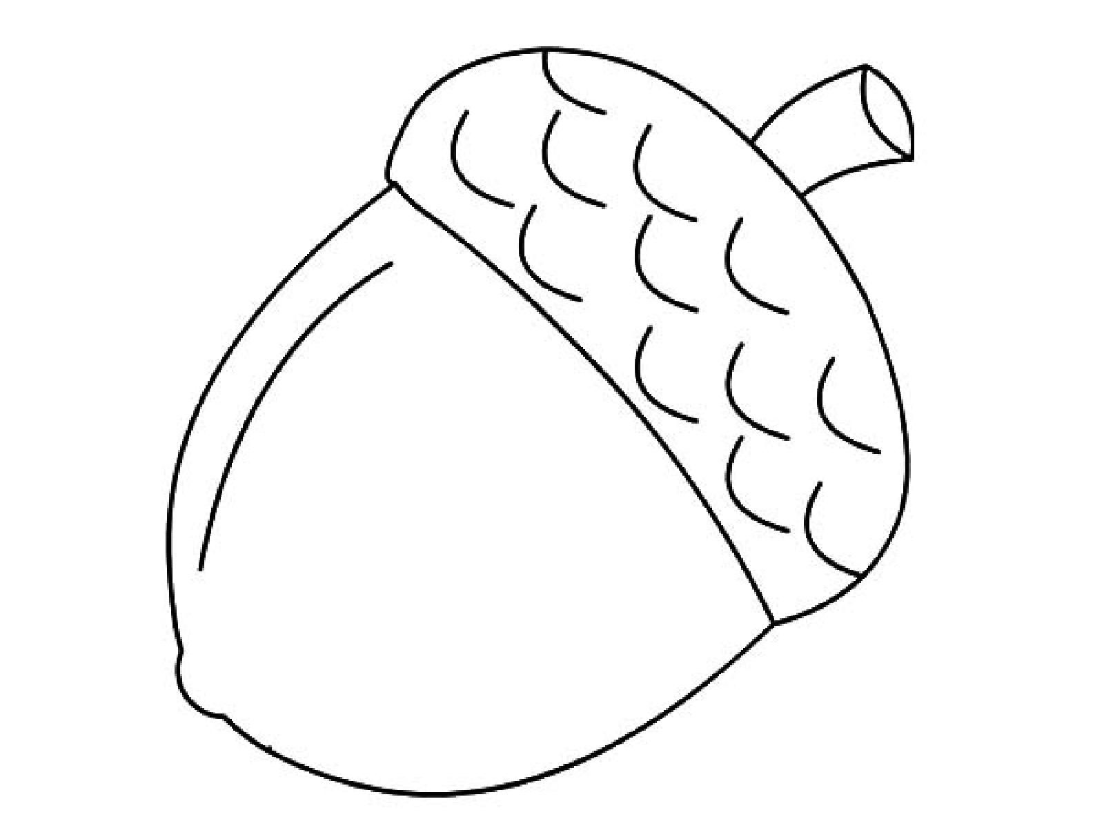 Acorn coloring pages