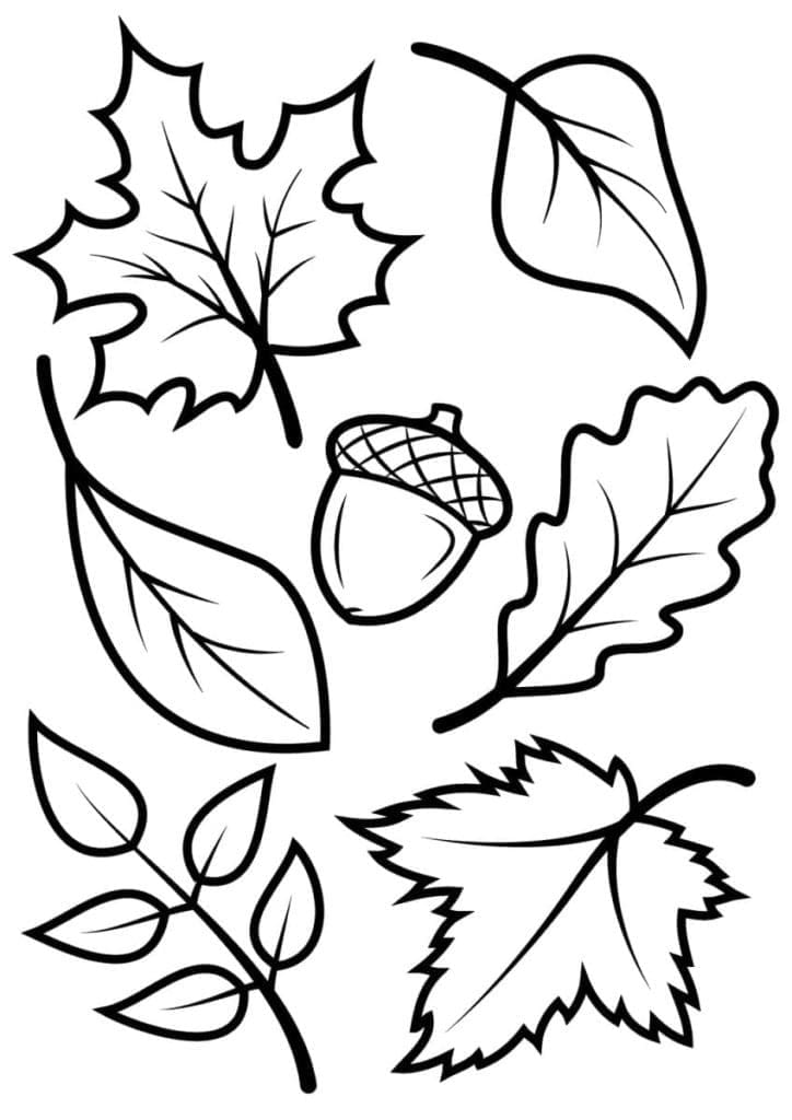 Acorn and autumn leaves coloring page