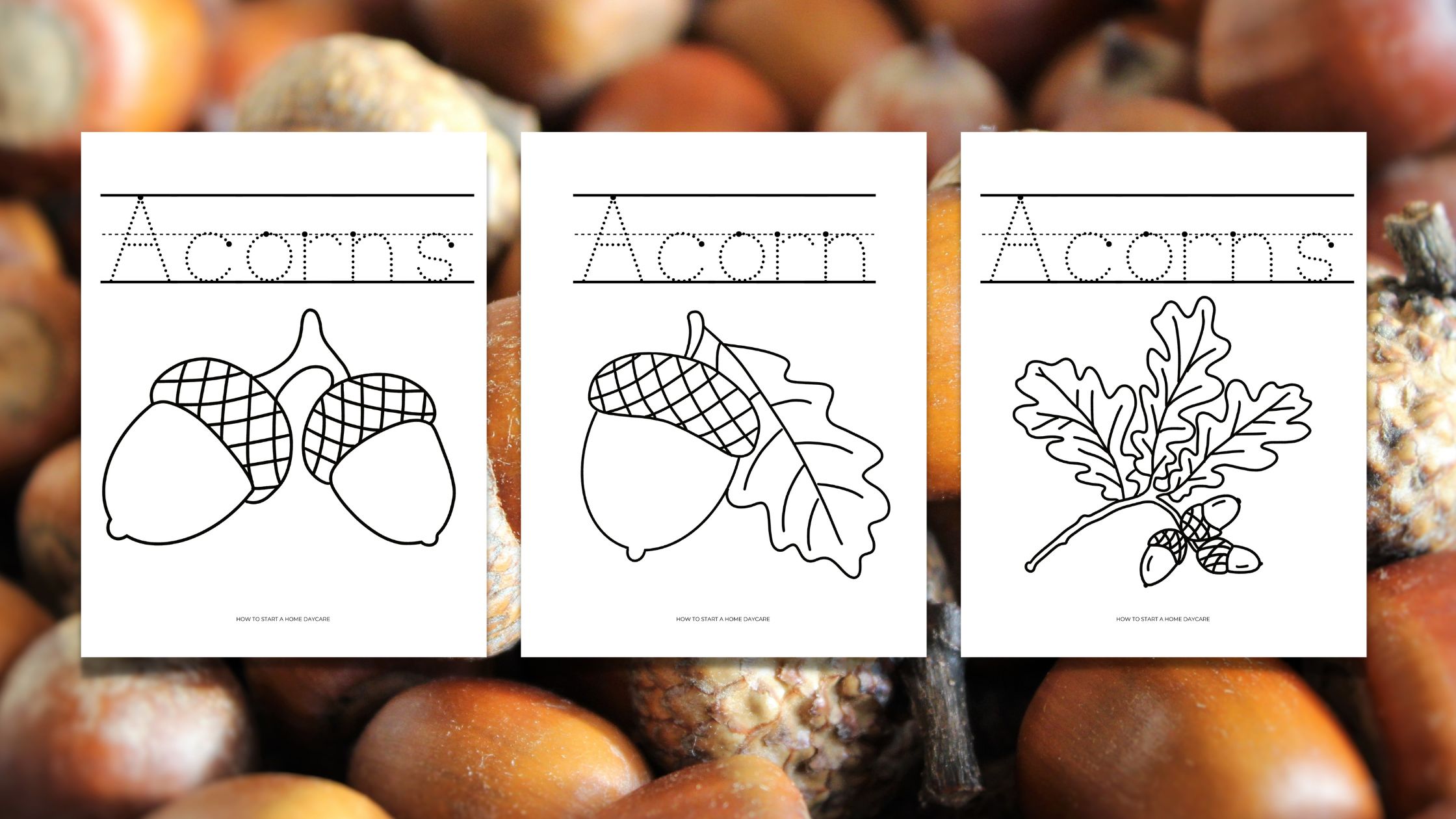 Free printable acorn coloring pages