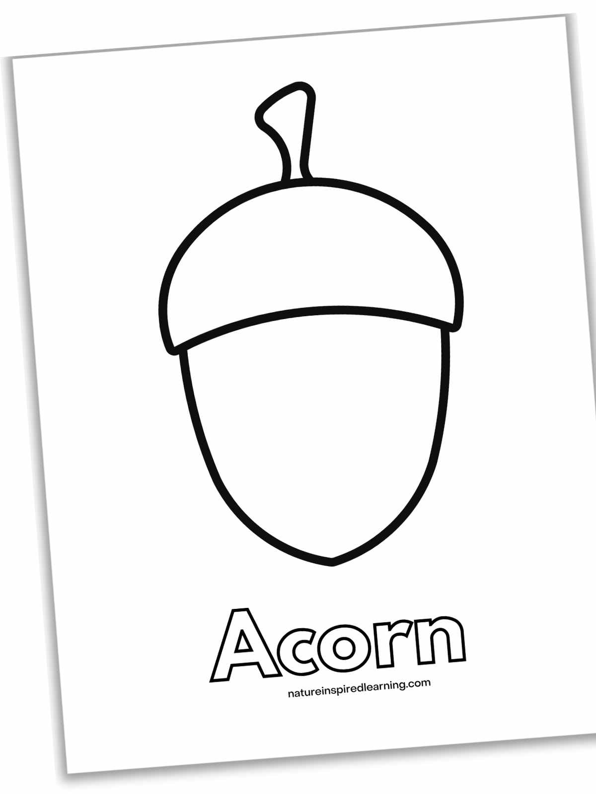 Acorn coloring pages perfect for autumn