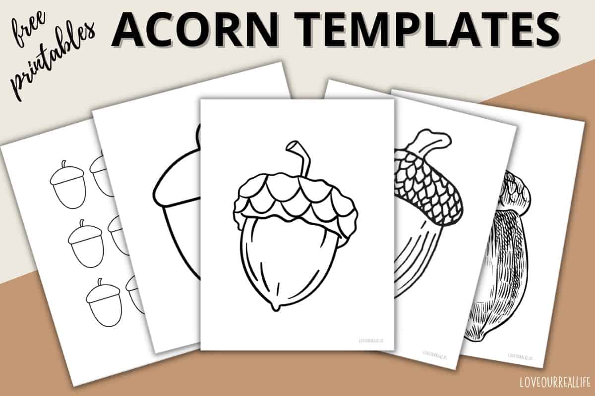 Free acorn template printables