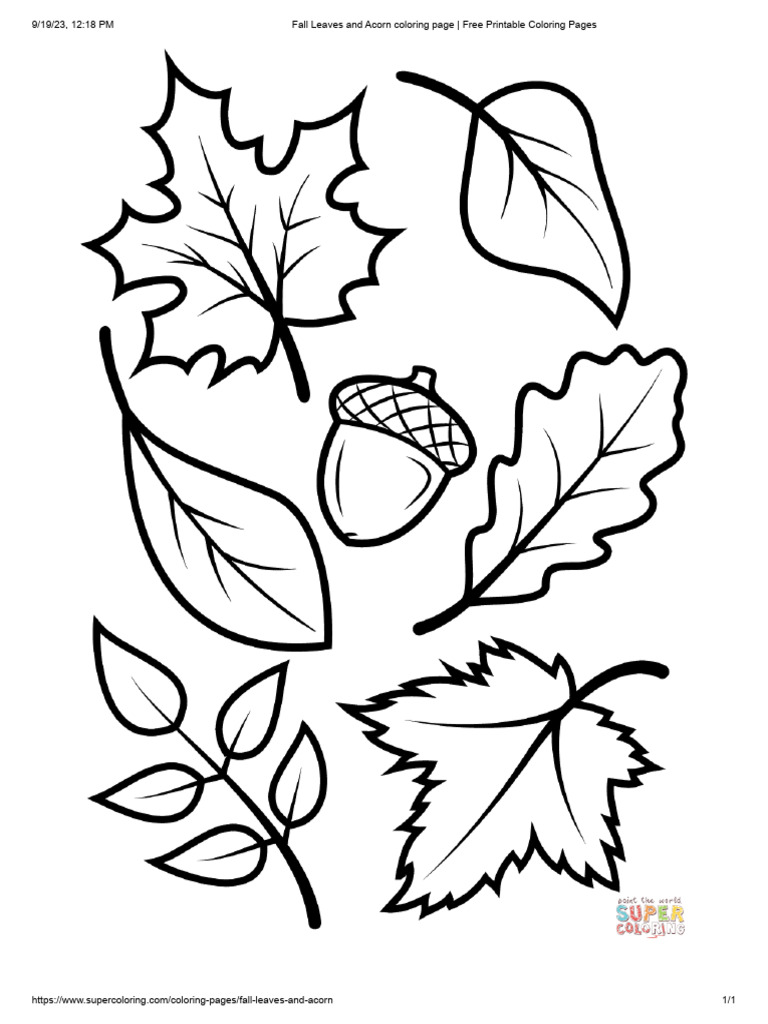 Fall leaves and acorn coloring page