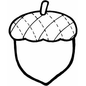 Acorn coloring page