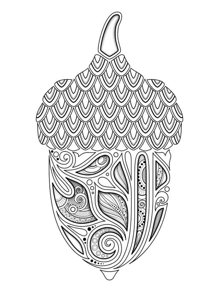 Acorn coloring pages for adults