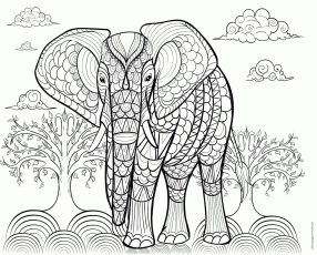 Free printable adult coloring pages animals