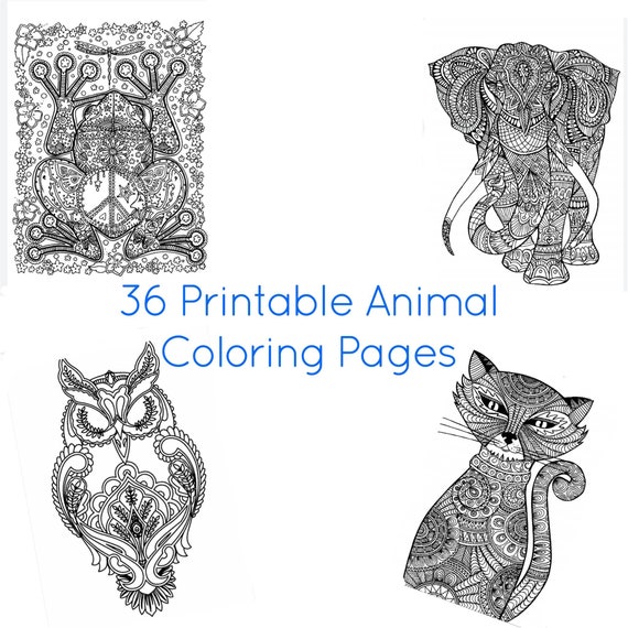 Animal coloring pages digital download adult coloring sheets animals coloring sheets anxiety prevention