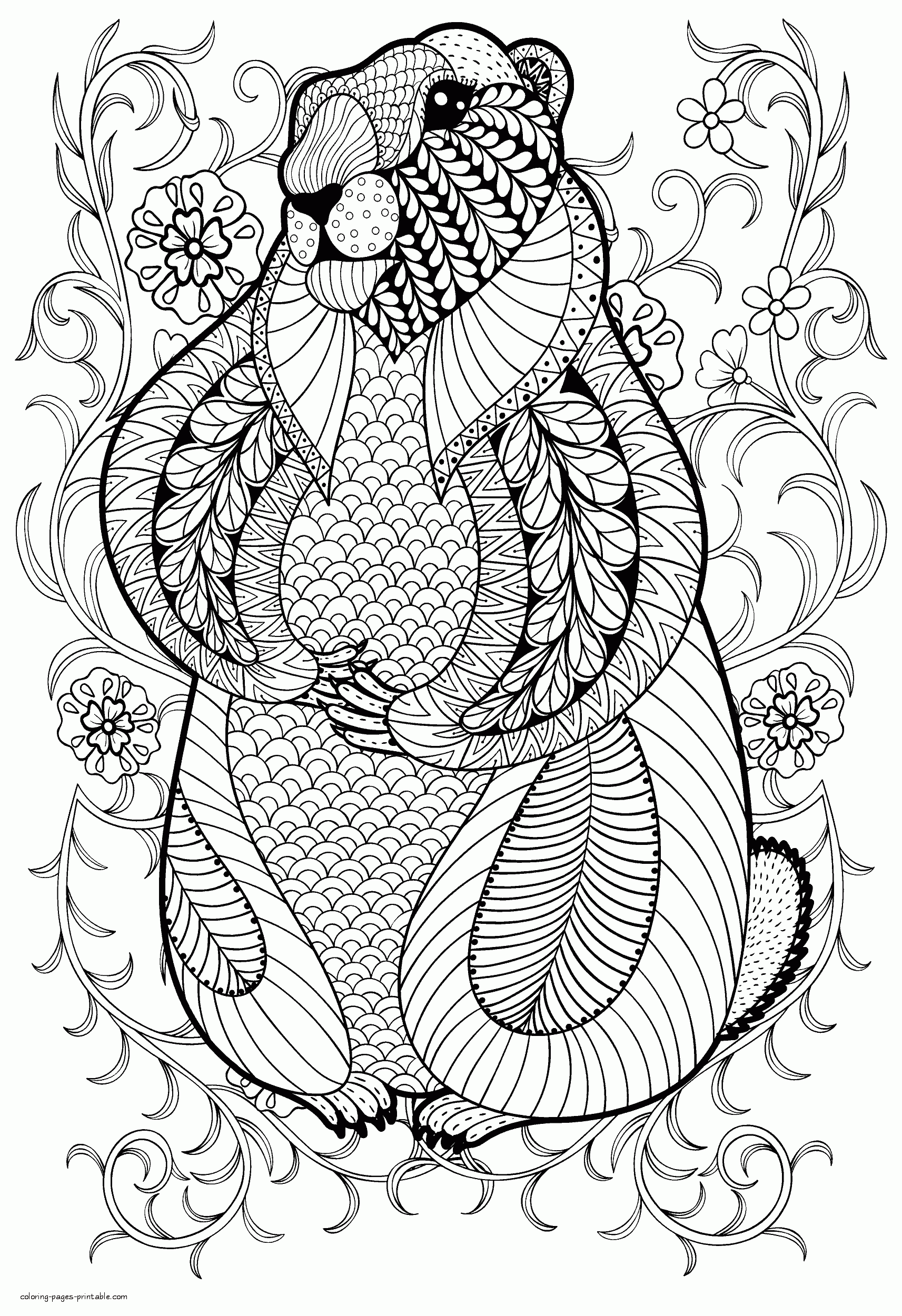 Adult coloring book pages animals coloring