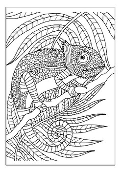 Escape to the wild with our printable animals coloring pages for adults pages