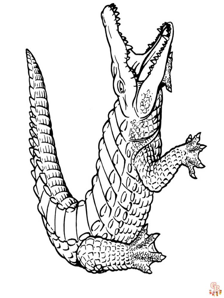 Free printable alligator coloring pages for kids