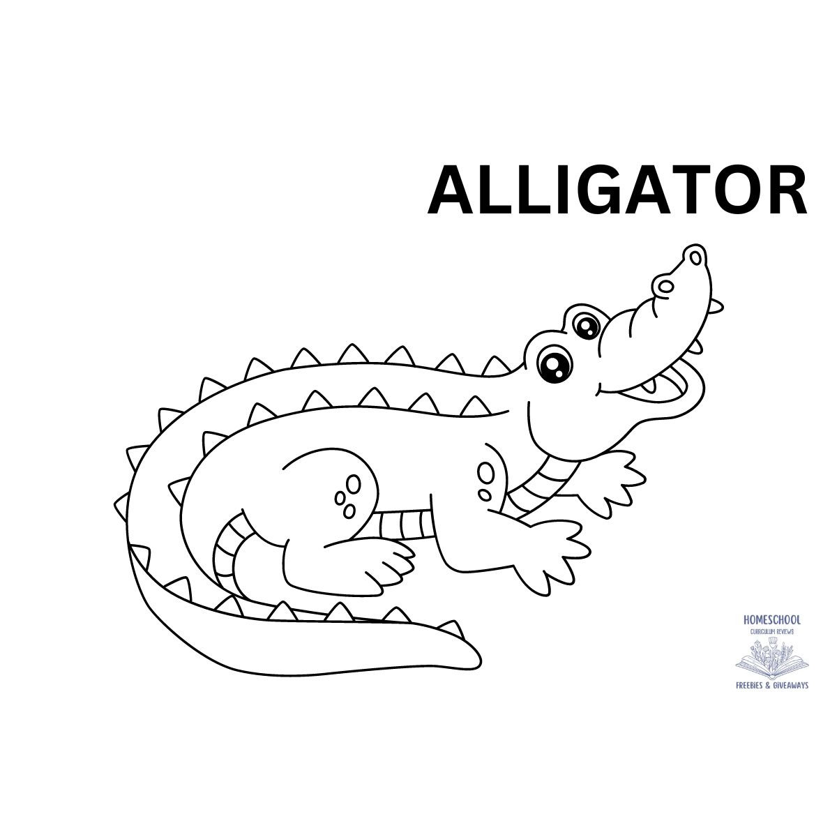 Alligator coloring page