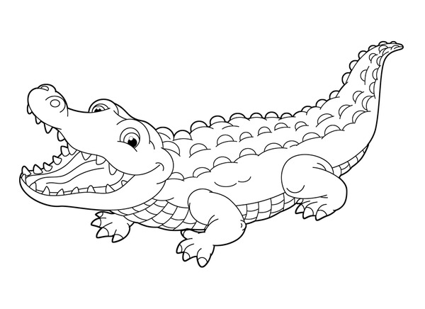 Alligator coloring page images stock photos d objects vectors