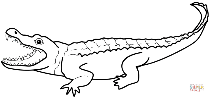 Alligator coloring page free printable coloring pages