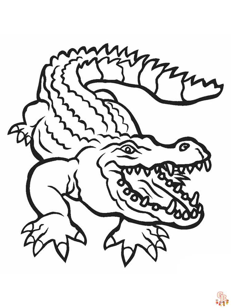 Free printable alligator coloring pages for kids