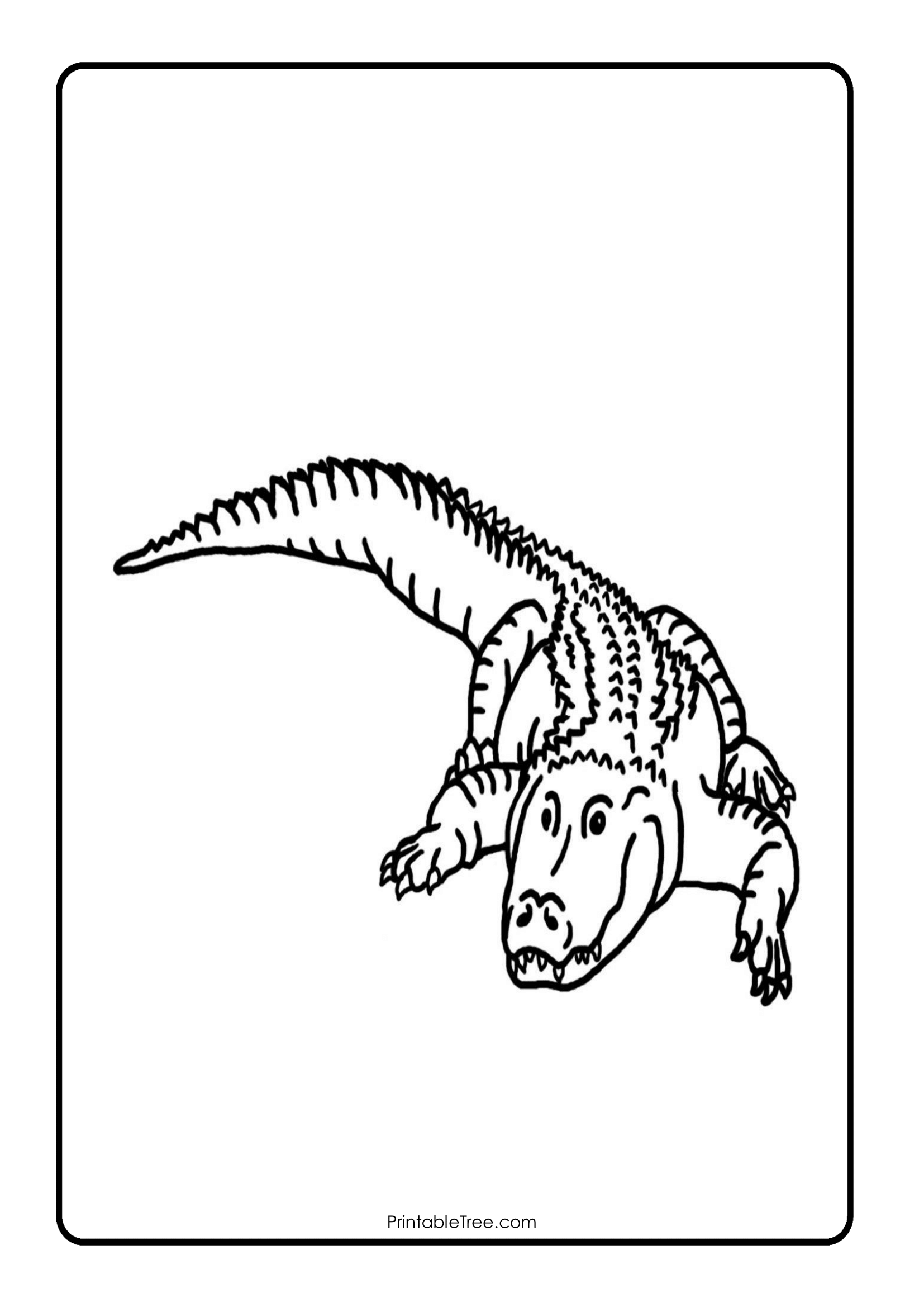 Free printable alligator coloring pages pdf for kids and adults