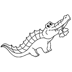 Top free printable alligator coloring pages online