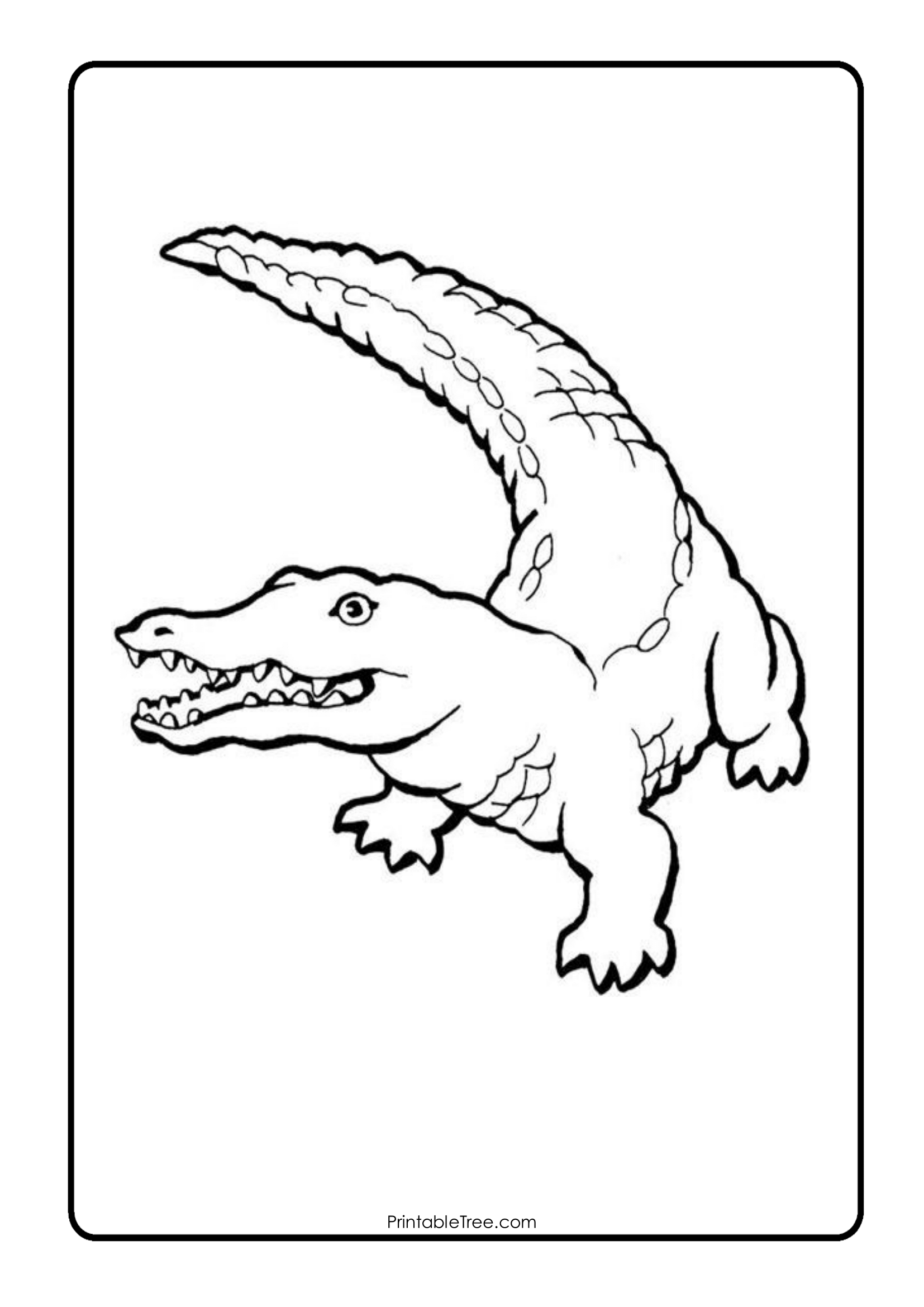 Free printable alligator coloring pages pdf for kids and adults