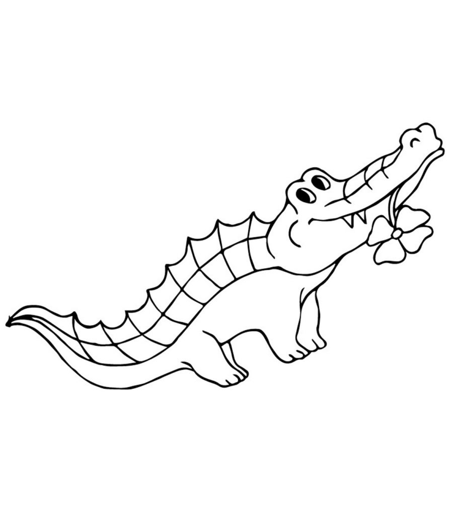 Top free printable alligator coloring pages online