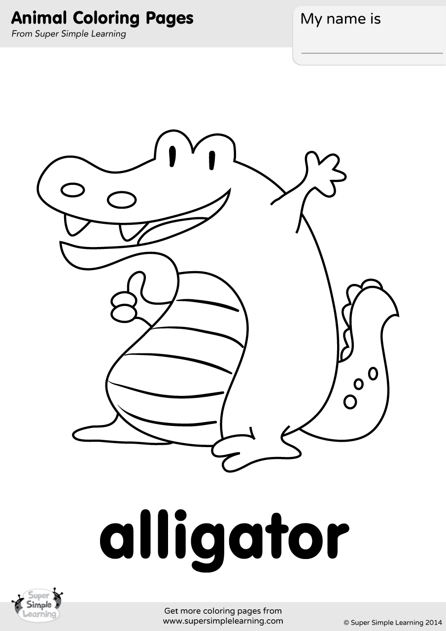 Alligator coloring page