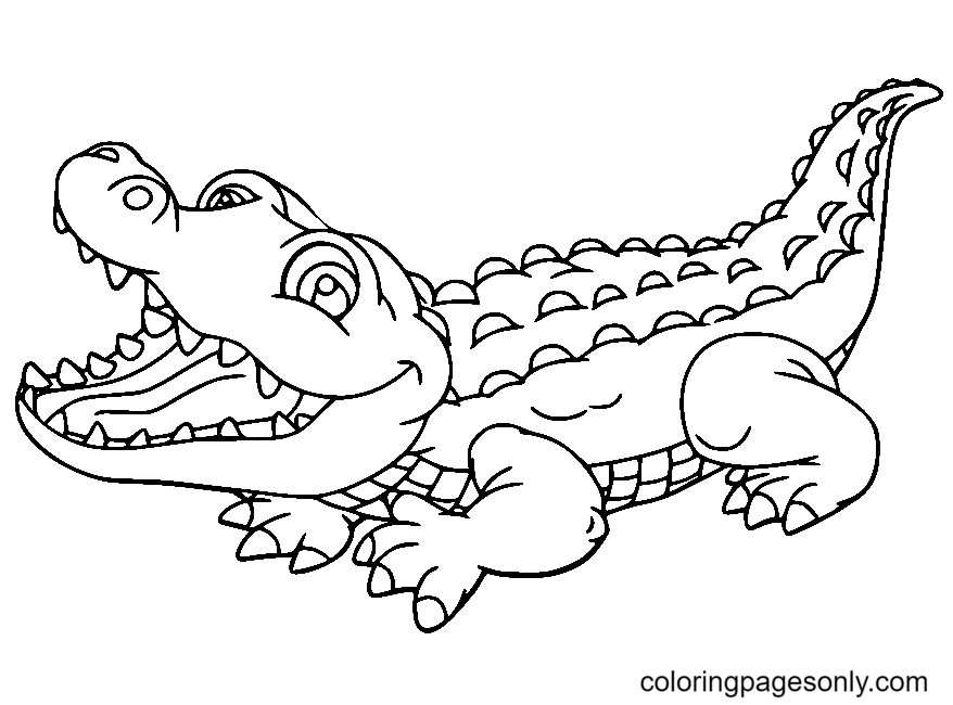 Alligator coloring pages printable for free download