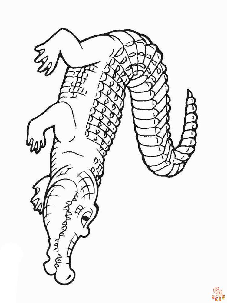 Free printable alligator coloring pages for kids