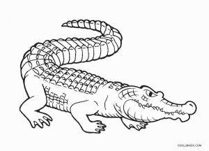 Free printable alligator coloring pages for kids coolbkids shark coloring pages coloring pages for kids coloring pages