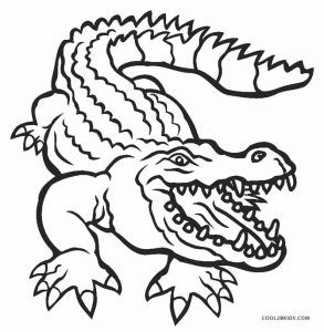 Free printable alligator coloring pages for kids coolbkids coloring pages to print coloring pages coloring pages for kids