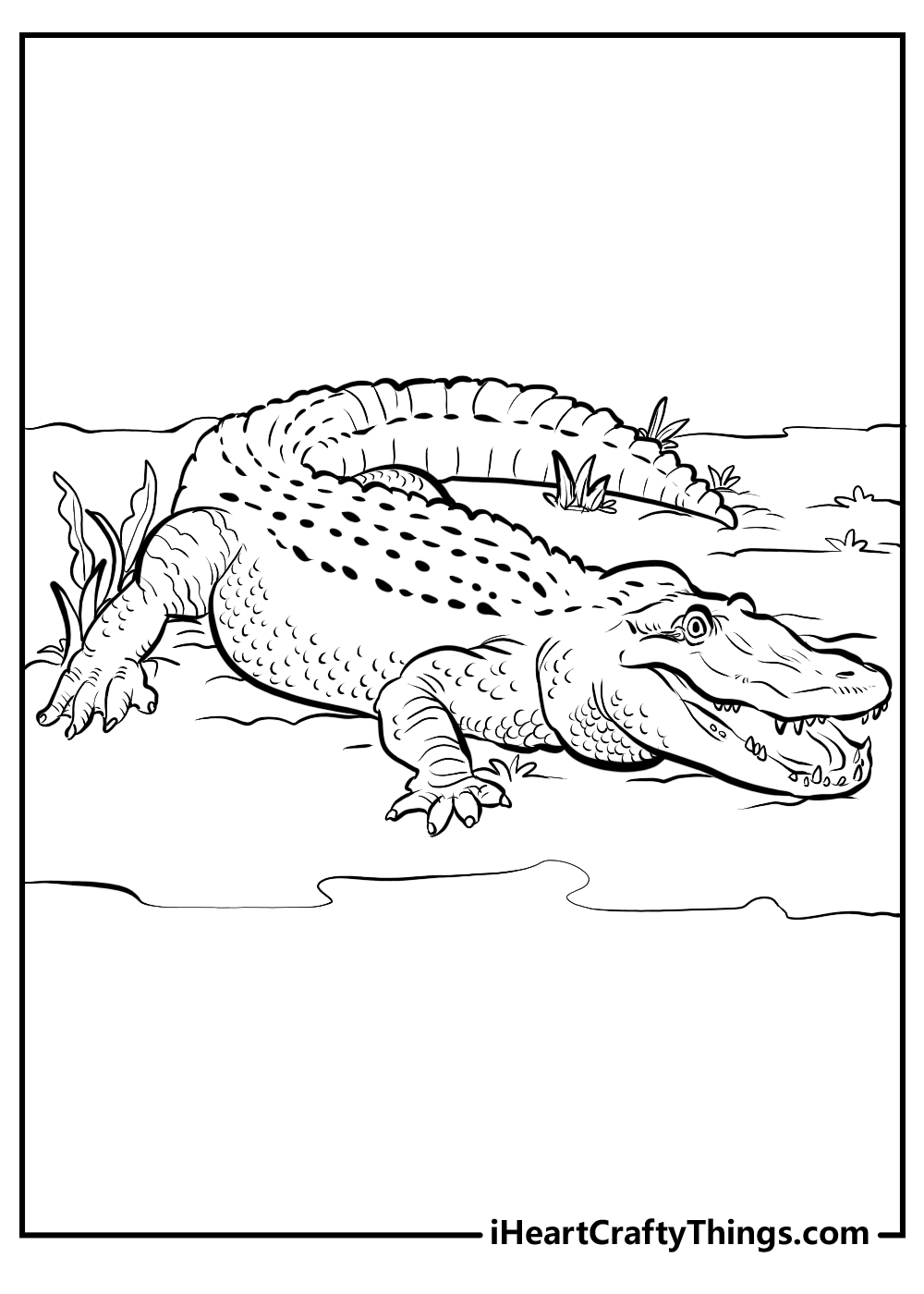 Printable alligators coloring pages updated