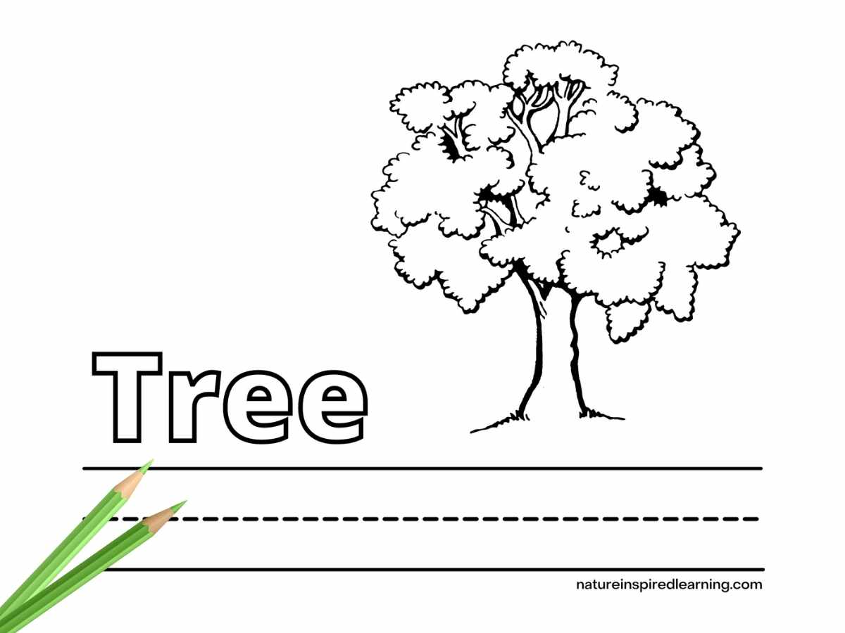 Tree coloring pages