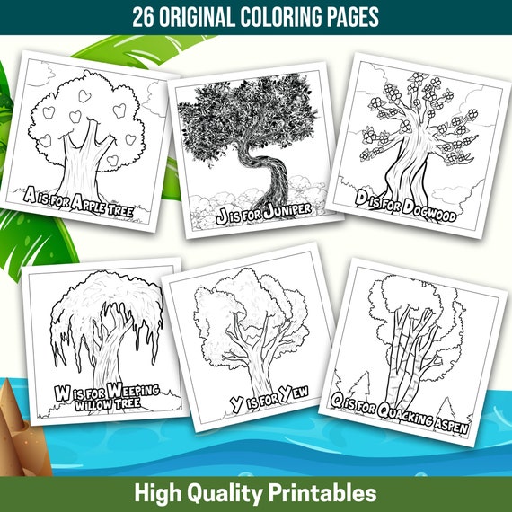 Buy best value coloring tree alphabet instant download educational abc coloring book for preschoolers with plants leaves and trees online in india