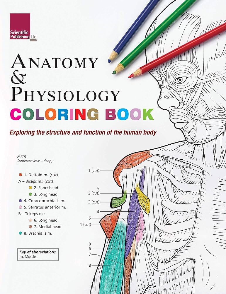 Anatomy physiology colouring book exploring the structure function of the human body scientific publishing books