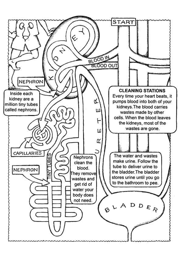 Superhero coloring pages with awareness ribbons