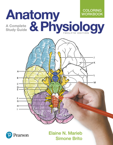 Anatomy and physiology coloring workbook